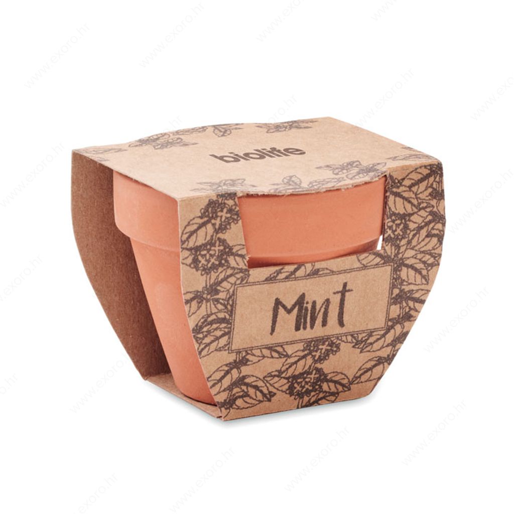 MO2218-40 Biljka MINT POT sjeme mente u posudi od terakote