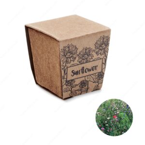 Biljka SUNFLOWER KIT set za uzgoj suncokreta