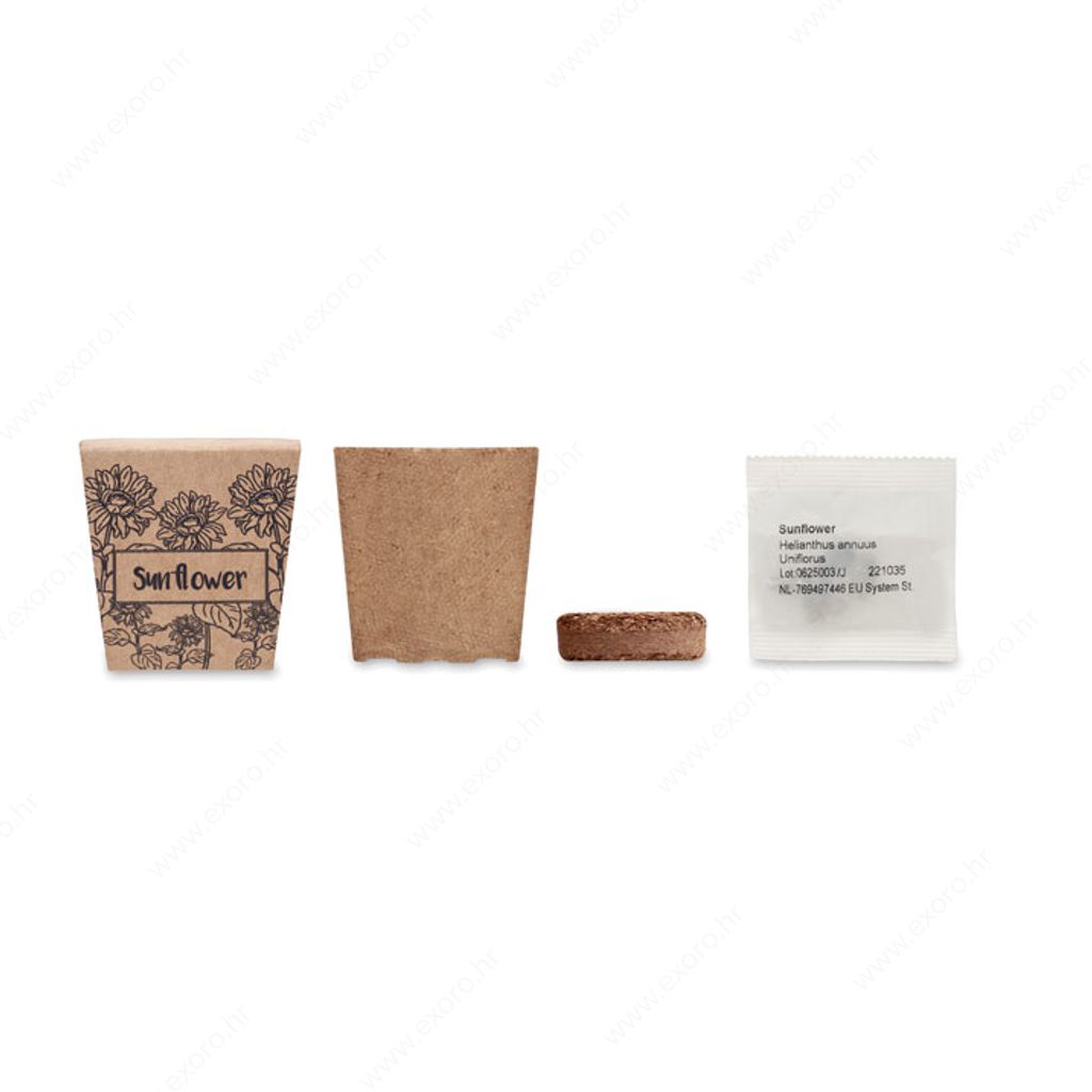 MO2411-13 Biljka SUNFLOWER KIT set za uzgoj suncokreta