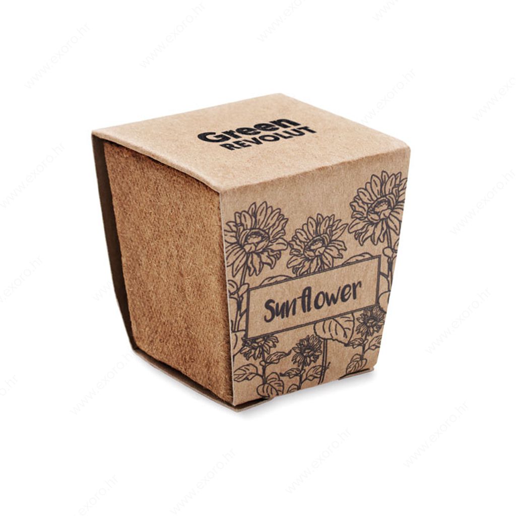 MO2411-13 Biljka SUNFLOWER KIT set za uzgoj suncokreta