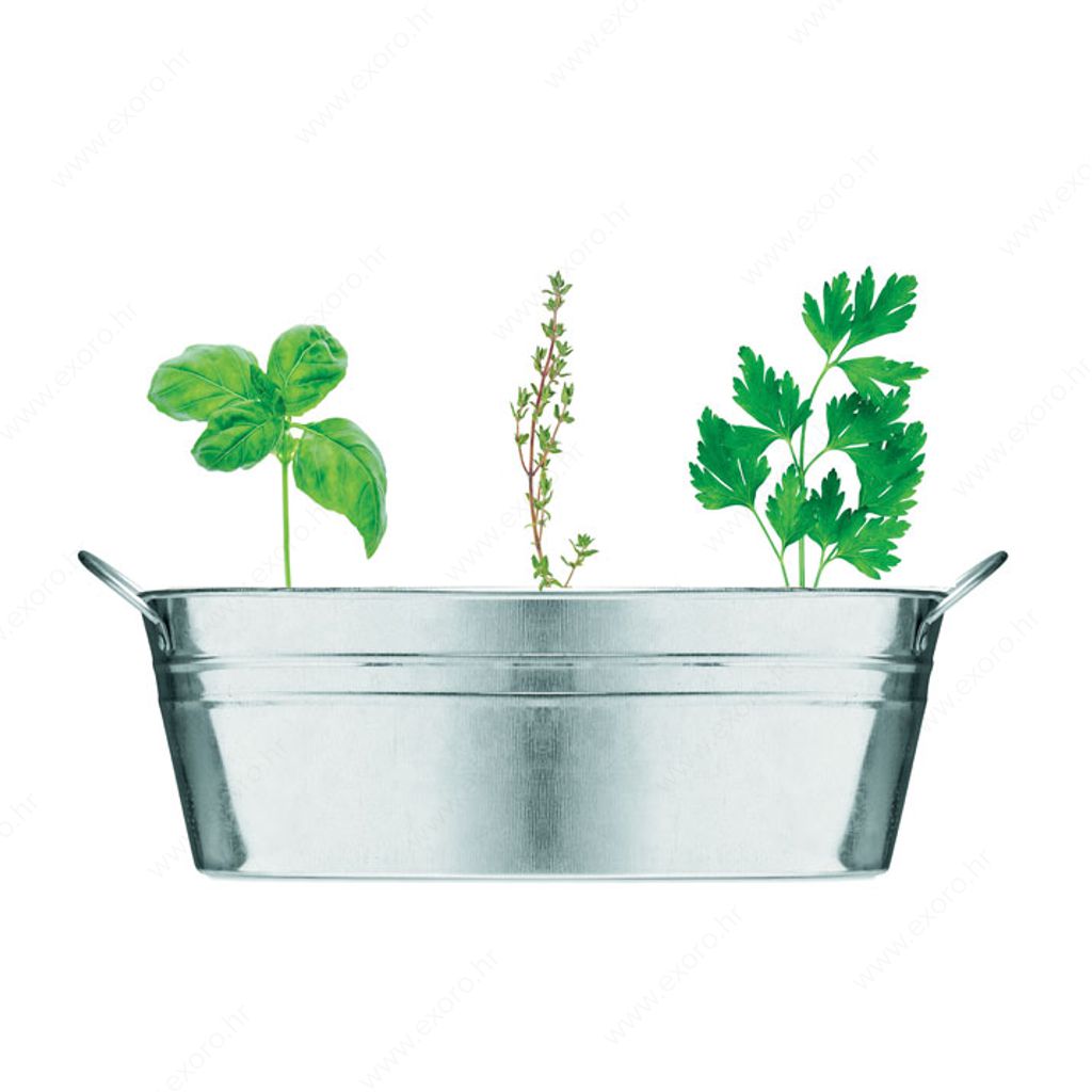 MO6497-16 Posuda za cvijeće sa 3 sjemenke bilja MIX SEEDS metalna