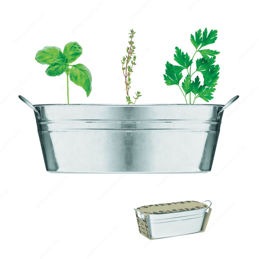 MO6497-16 Posuda za cvijeće sa 3 sjemenke bilja MIX SEEDS metalna