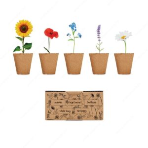 Cvijeće za uzgoj u setu FLOWERS bež