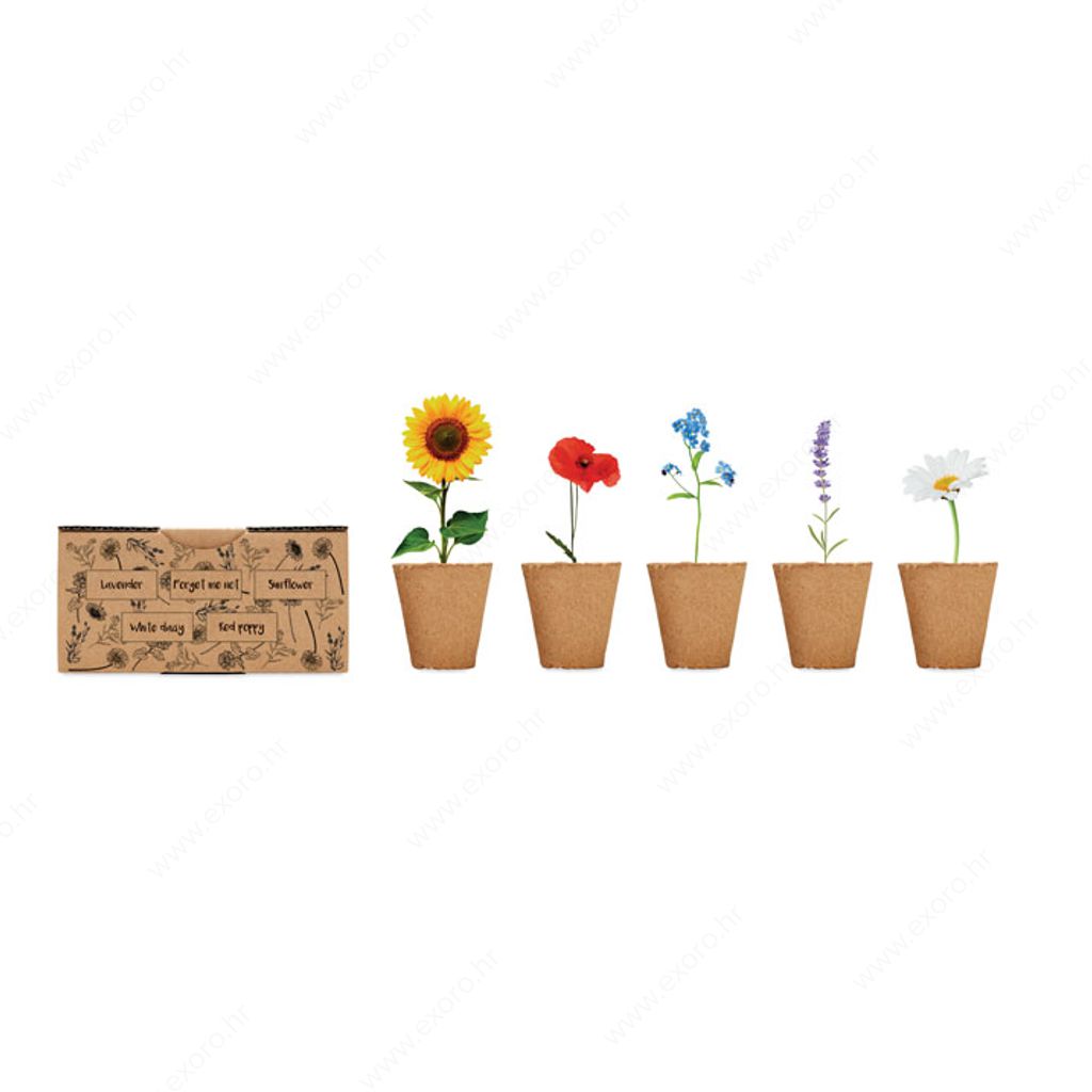 MO6500-13 Cvijeće za uzgoj u setu FLOWERS natur