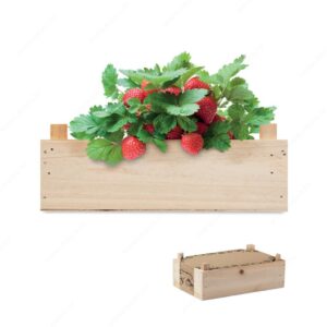 Biljka STRAWBERRY set za uzgoj jagoda